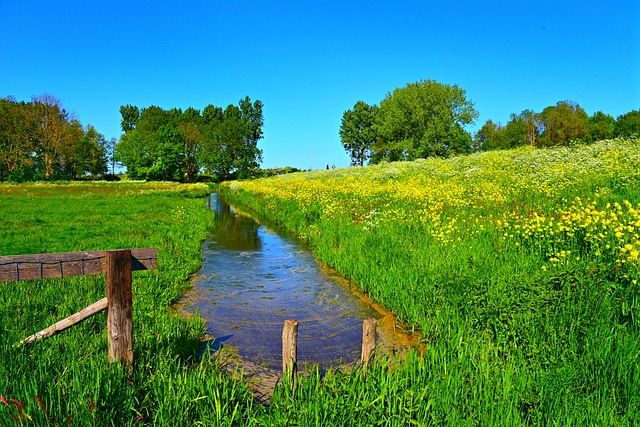 Dijken-basis-kruiden